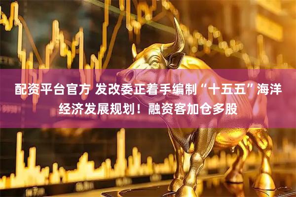 配资平台官方 发改委正着手编制“十五五”海洋经济发展规划！融资客加仓多股